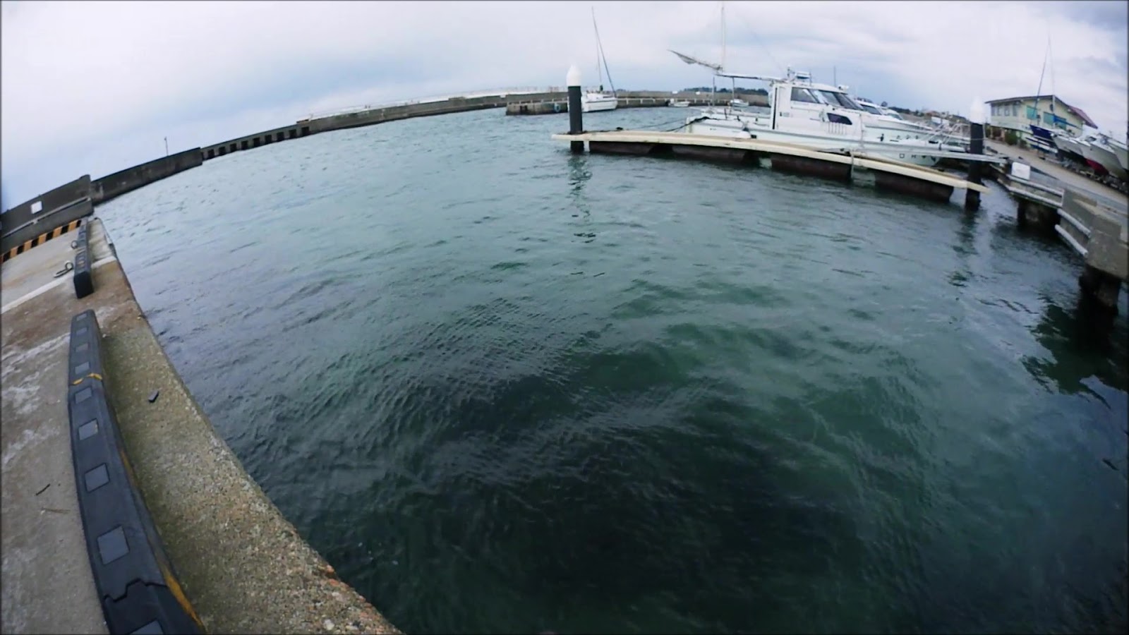 水辺 De Asobo のブログ 解説ブログ オキアミを餌カゴに入れて海底に沈めてみた