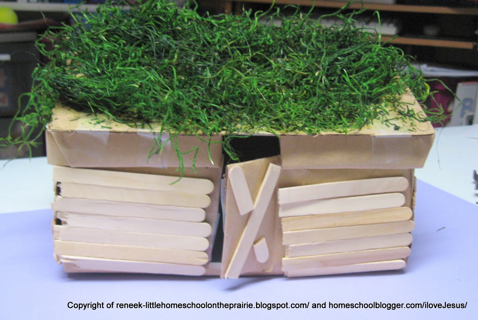 Little Homeschool on the Prairie Viking Longhouse Craft