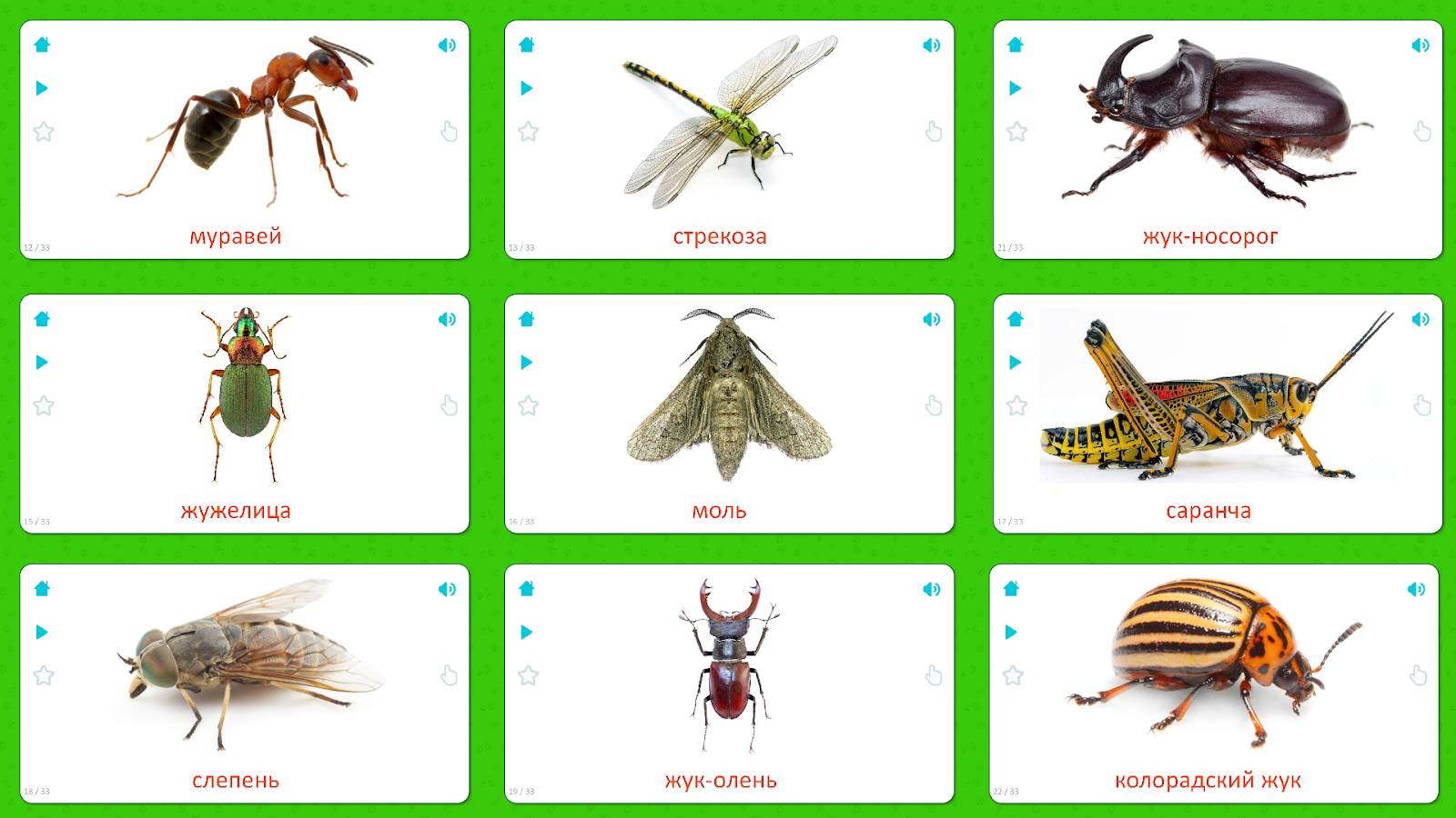 Бабочка муравей паук. Насекомые карточки Домана для детей. Карточки для детей. Насекомые. Насекомые для дошкольников. Карточки насекомых для дошкольников.