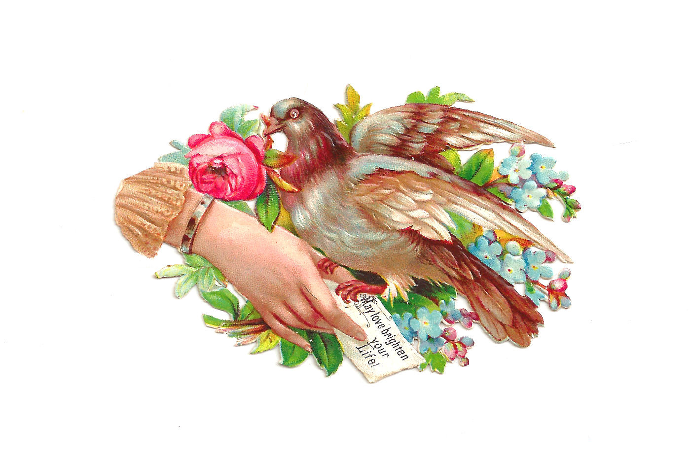 Antique Images Free Bird Graphic Pigeon Clip Art with Roses and