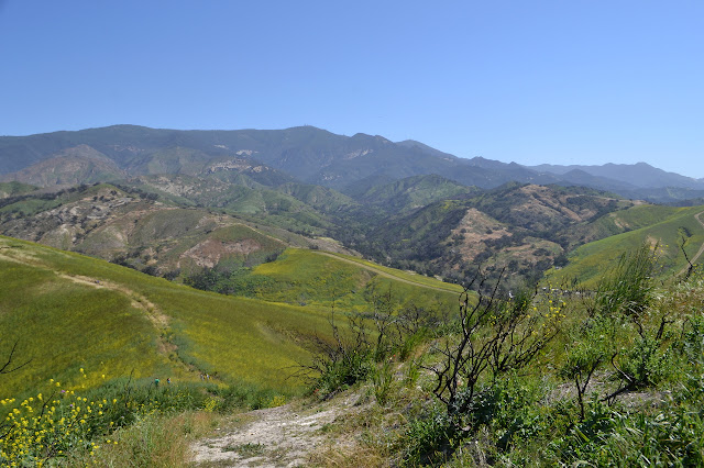 grassy ridge line with trail along it