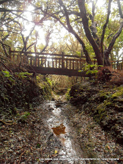 Anaga Sendero de los Sentidos Anaga Sendero de los Sentidos