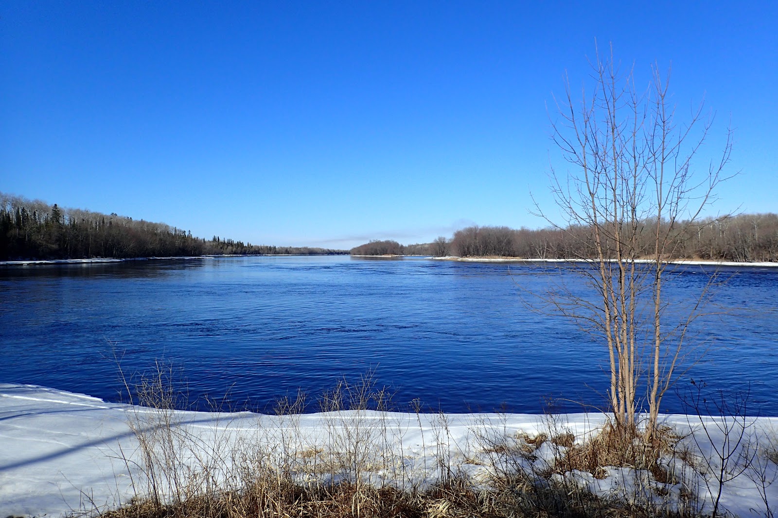 The Continuing Adventures of Eric, Noelle and Sierra An Early Spring