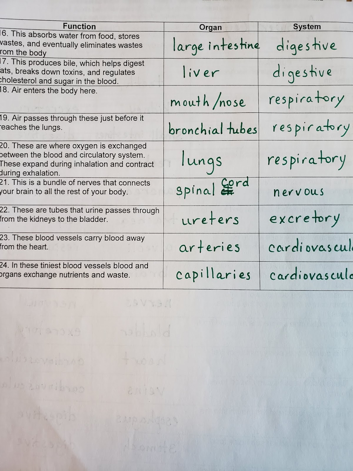 Mrs. Counts 7th grade Science Class: Friday October 26