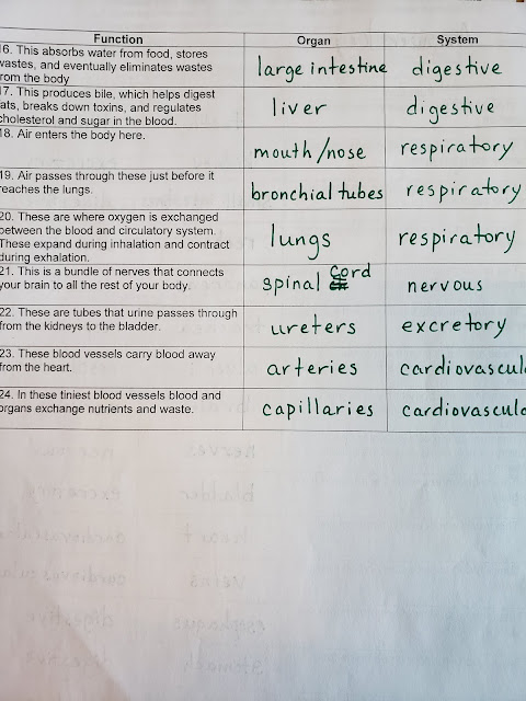 34 Nutrition Label Worksheet Answer Key Quizlet - Labels ...