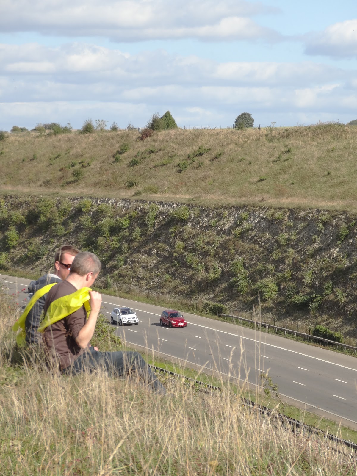 Hagthorn 20th Anniversary of Twyford Down No New Roads!