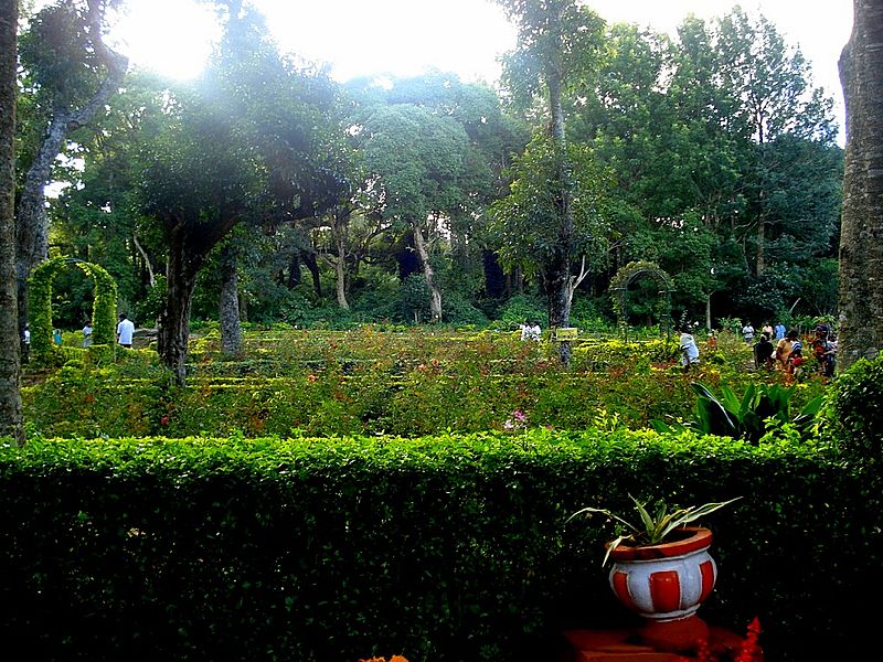 Tamilnadu Tourism Rose Garden, Yercaud