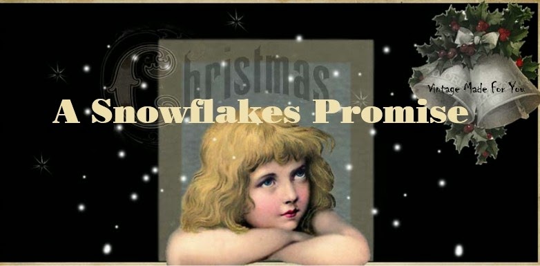 A snowflakes promise