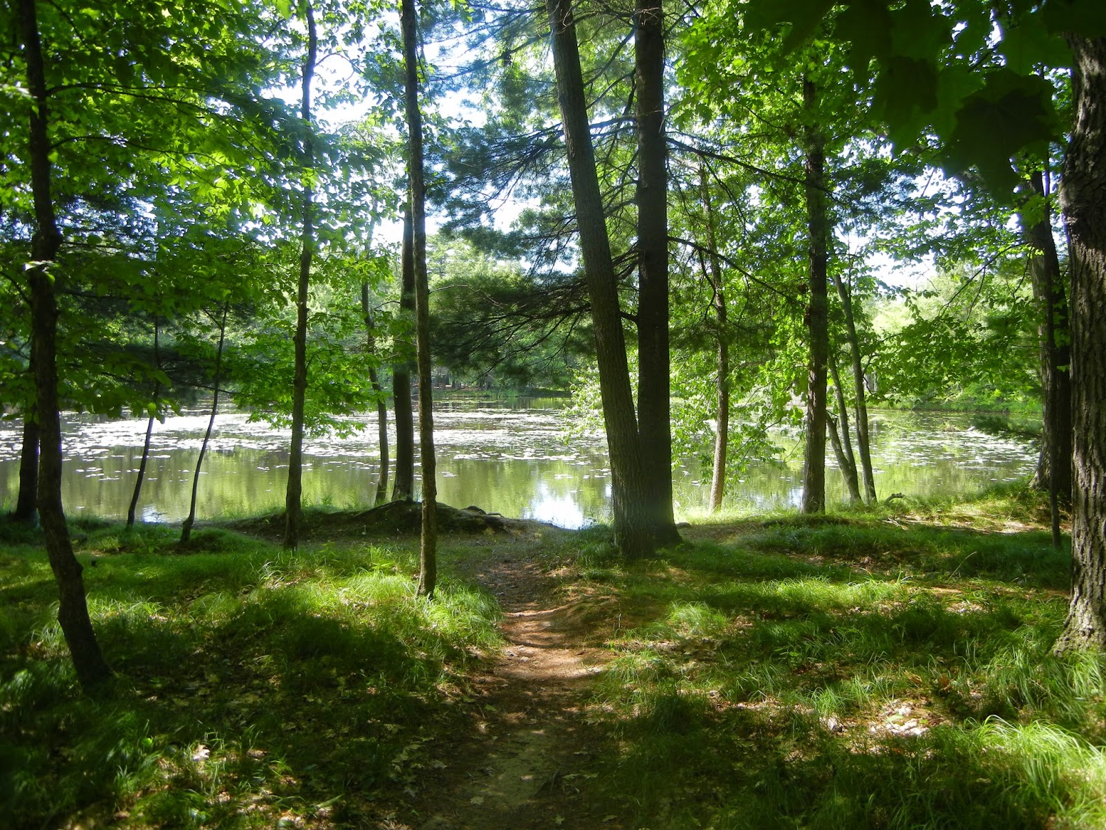 Hiking with Heather: Brunet Island State Park