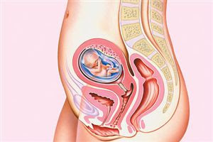 12 haftalık gebelik görüntüsü