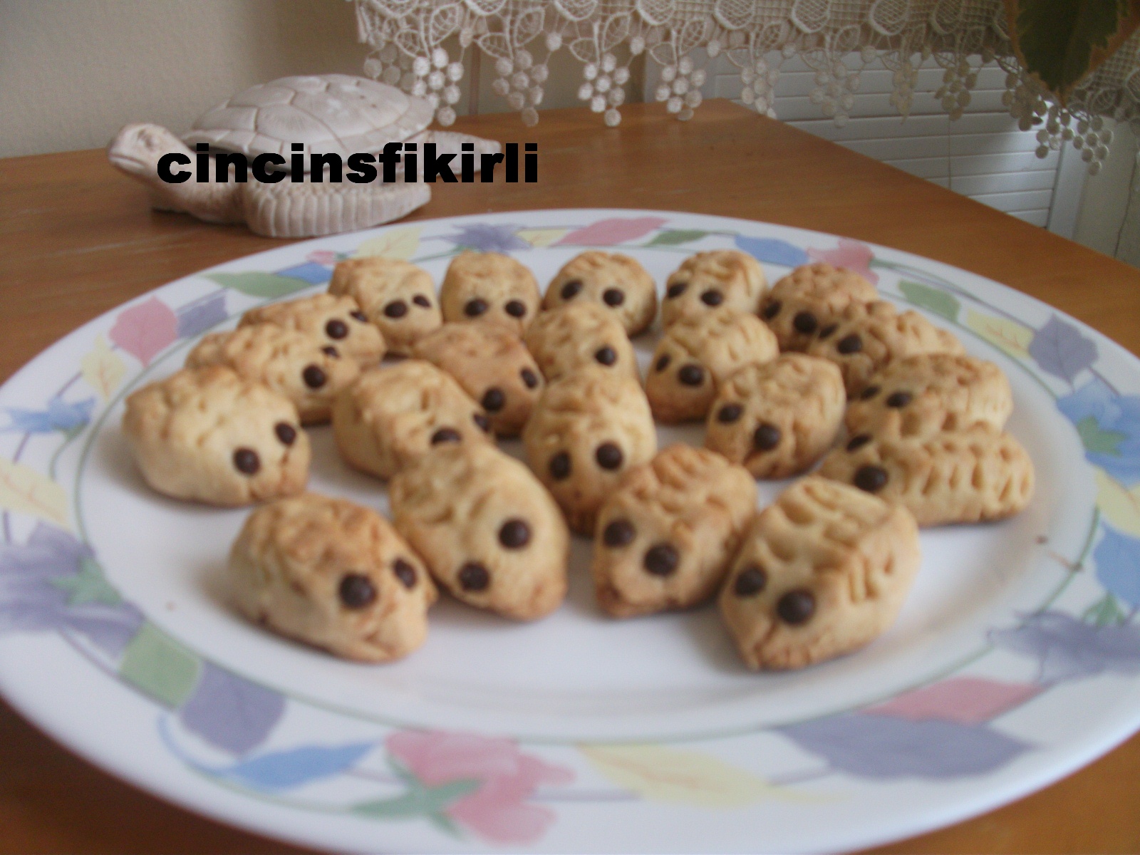 Cincinsfikirli KİRPİ KURABİYELER