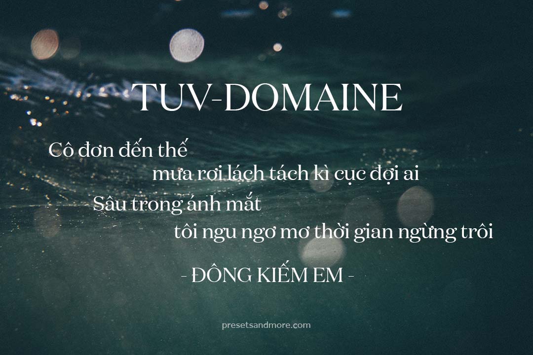 font việt hóa TUV