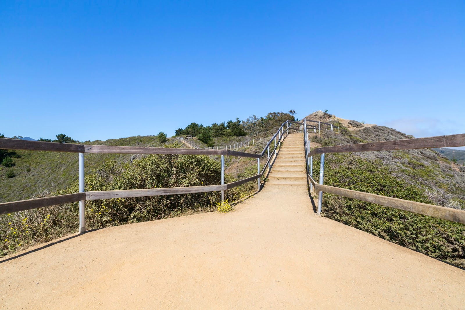 Naturetastic Blog Point Reyes, Stinson Beach, Muir Beach Overlook