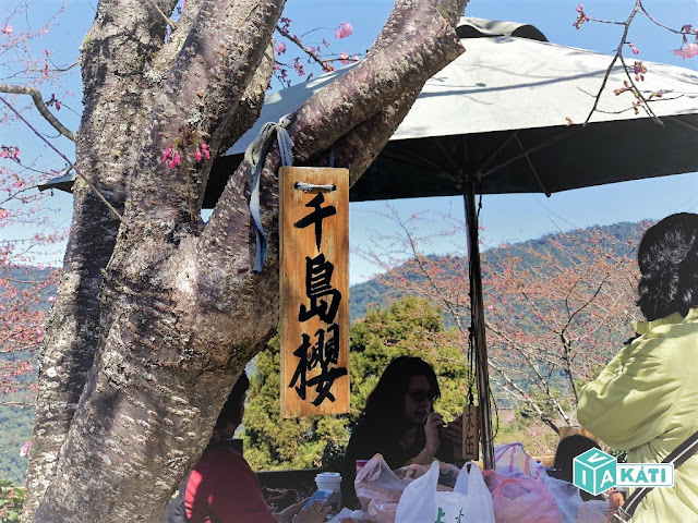 桃園市復興區一日遊