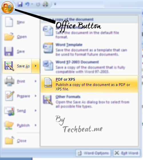 PDF files using Microsoft Word