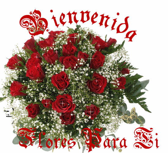 Image result for bienvenida amiga mia