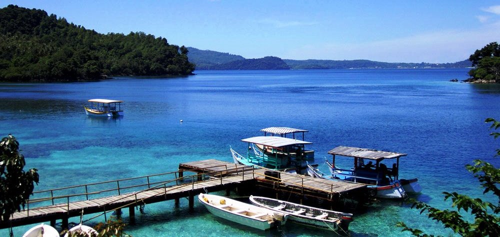 Soal Geografi : Persebaran Flora & Fauna di Bumi dan Kunci Jawaban - Muttaqin id