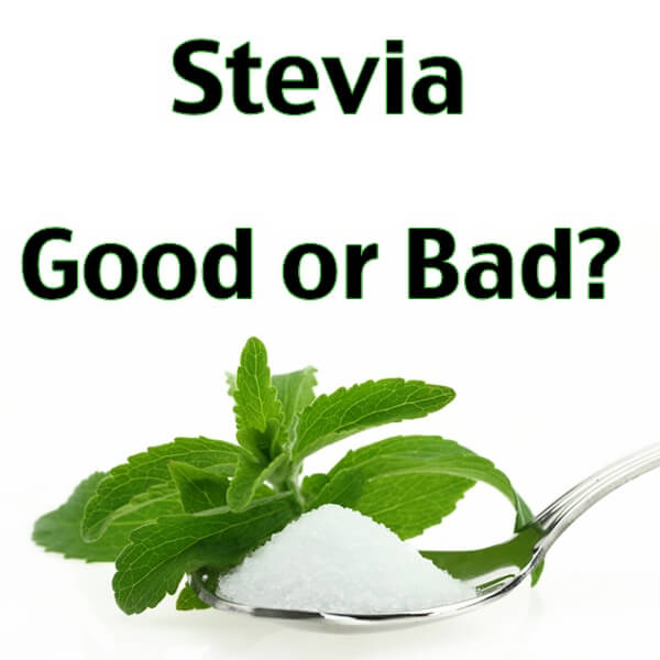What Is Stevia? And Is It Good or Bad for Your Health? Stevia Hub India
