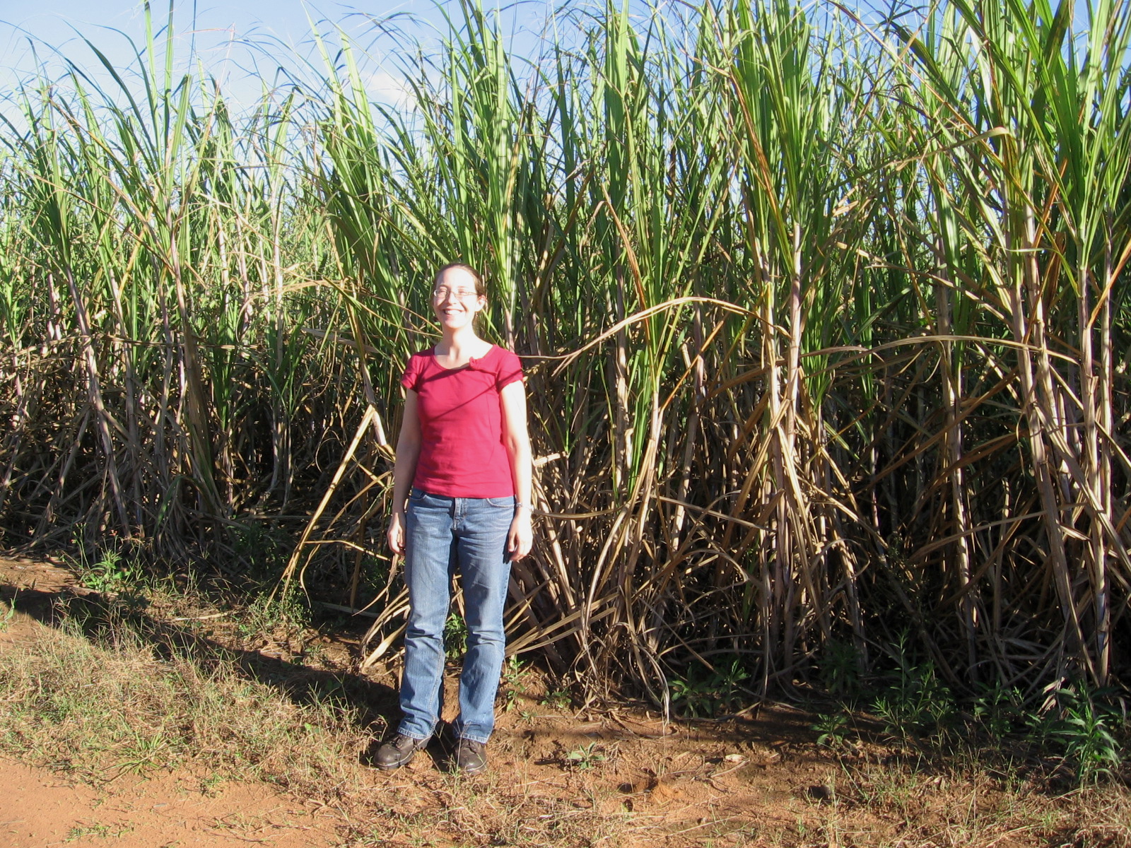 UPitt Sustainability and Green Design Understanding Sugarcane Ethanol