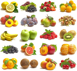 Pomology(Fruit culture)