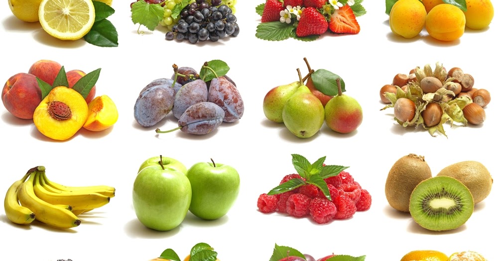 Definition Horticulture Branches of Horticulture Plant Science 4 U