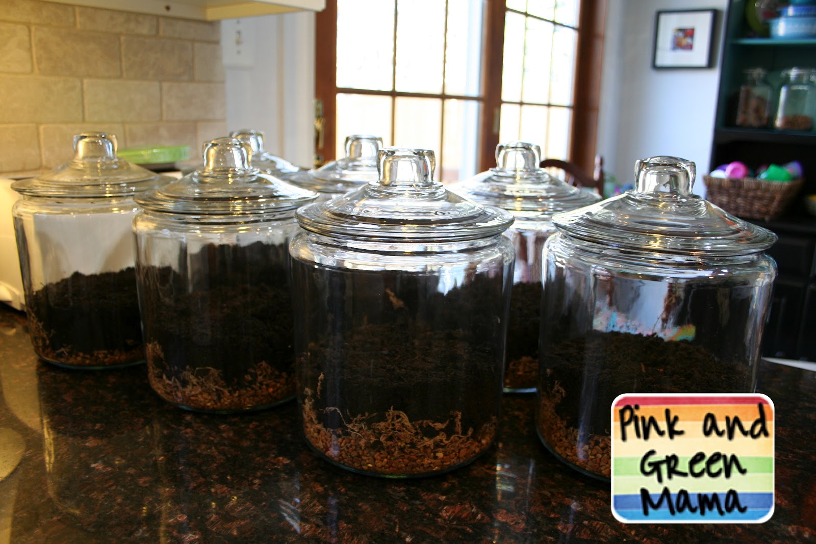 Pink and Green Mama * Terrarium Themed Birthday Party