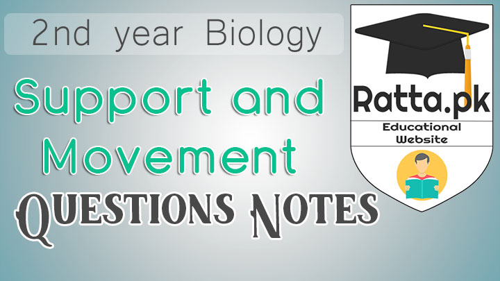2nd Year Biology Chapter 16 Support and Movement Notes - Short Questions
