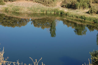 Lagunas de las Madres