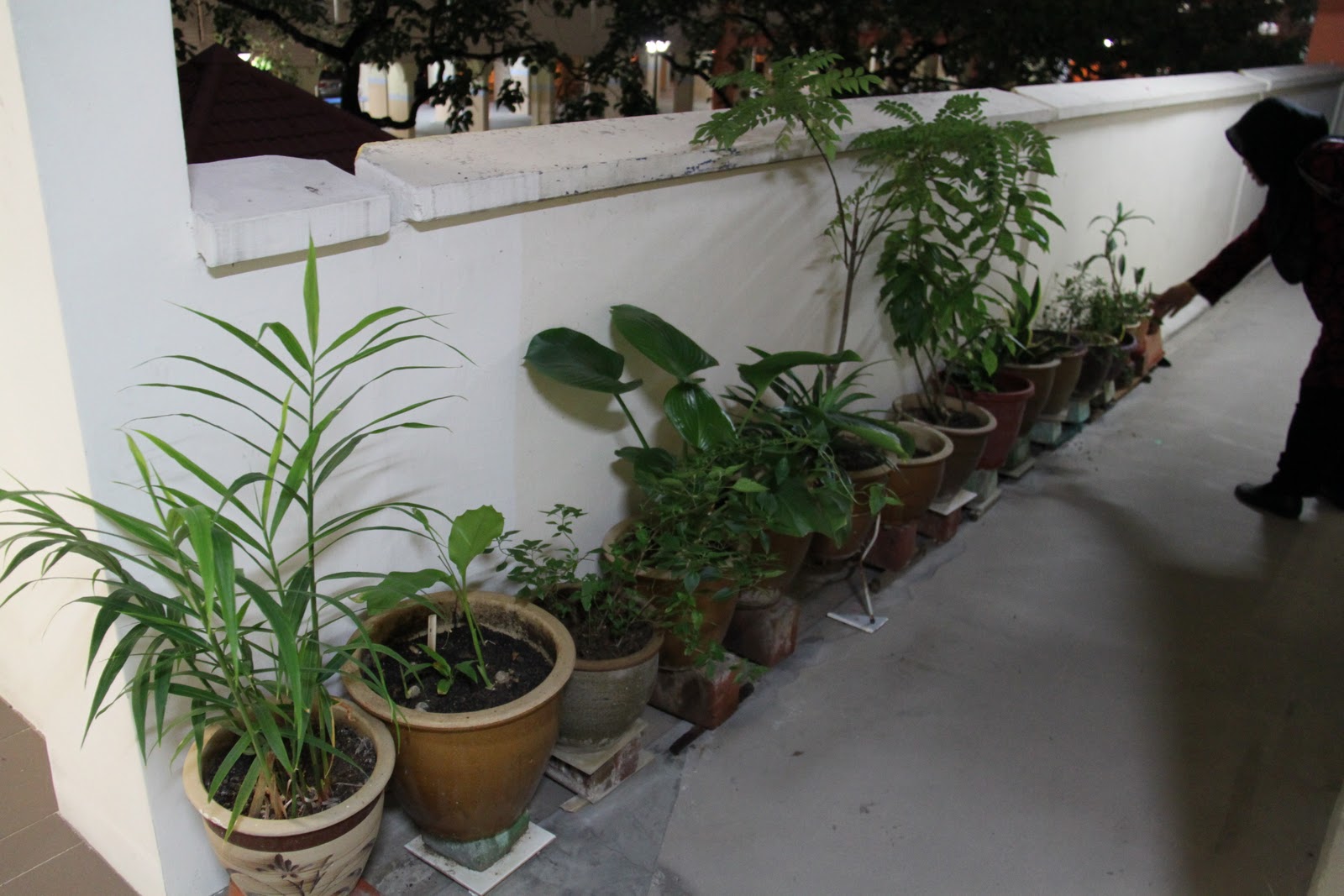 Me & Decor Gardening in HDB flats