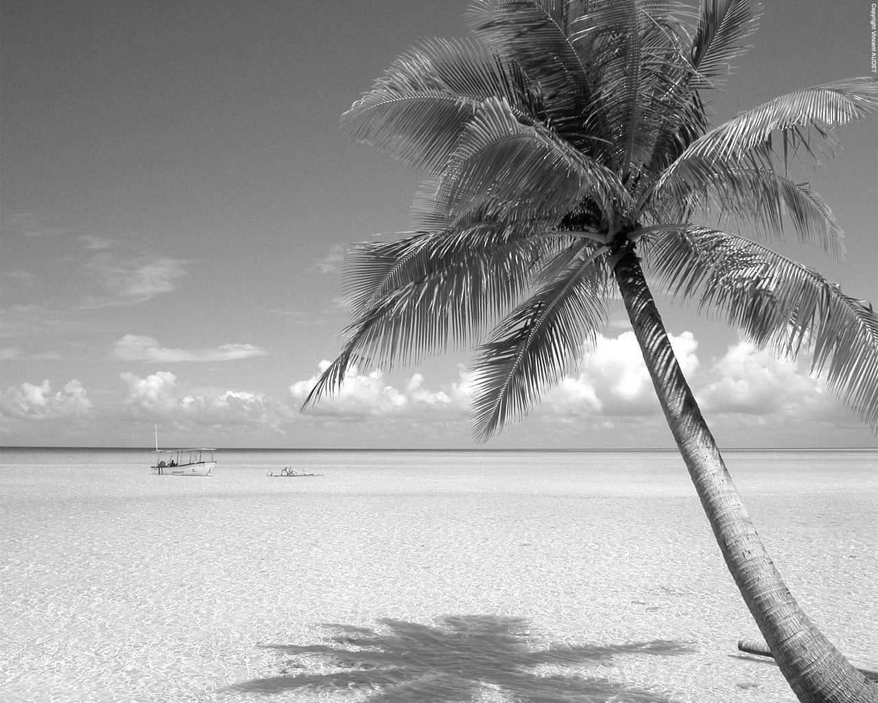 Black and White Beach Landscape Wallpaper HD 5