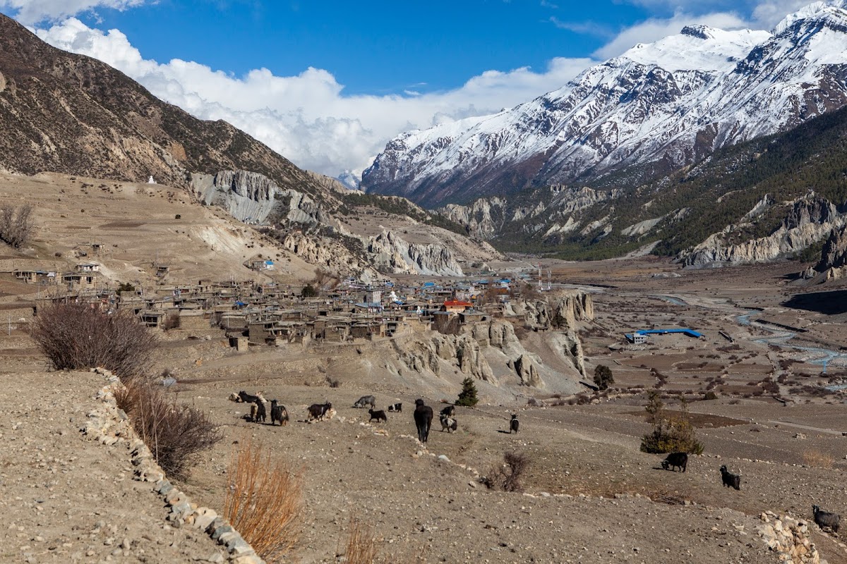 200км по красно-белым черточкам.. Around Annapurna. март-апрель 2017