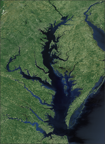 Chesapeake Bay