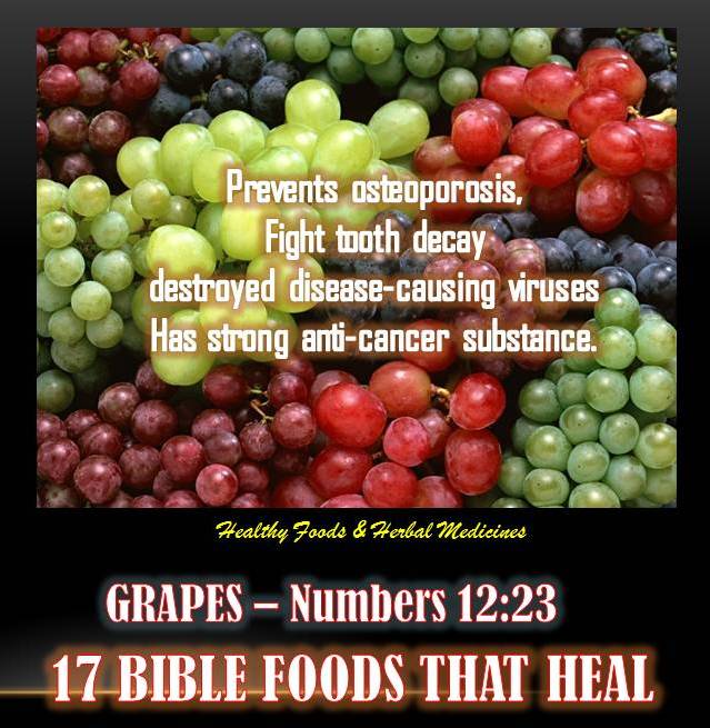 17 BIBLE FOODS THAT HEAL GRAPES Numbers 1223