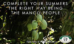 Mango Online
