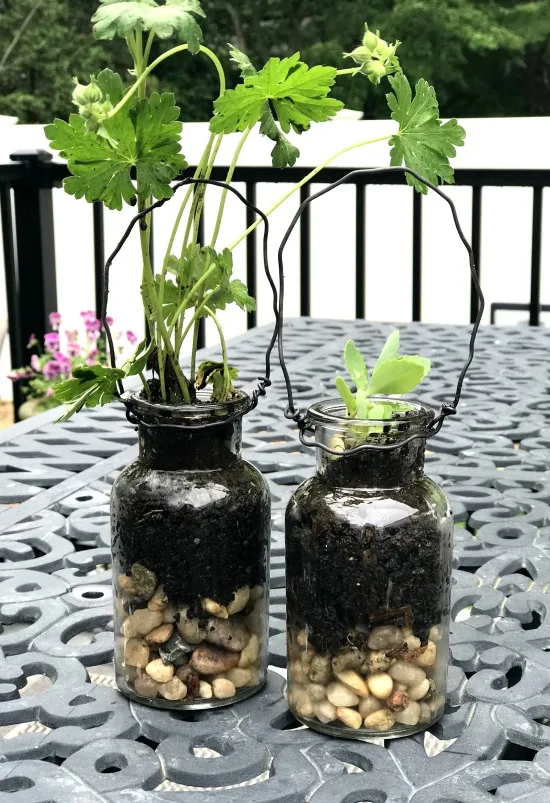 DIY Hanging terrarium planters