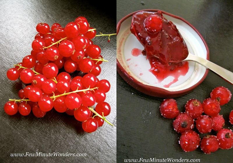 Red Currants Chutney Few Minute Wonders