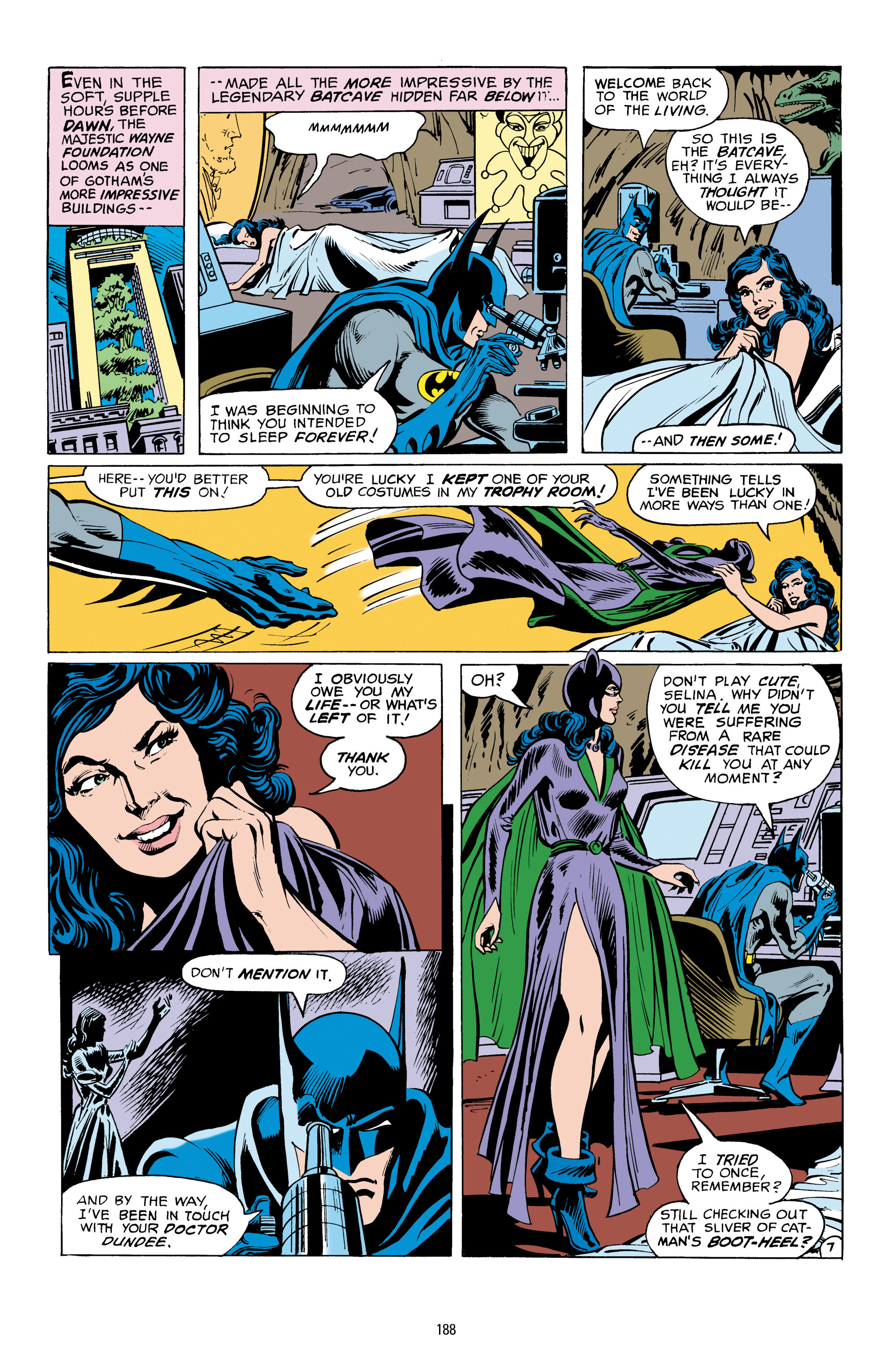 Read online Catwoman: A Celebration of 75 Years comic -  Issue # TPB (Part 2) - 89