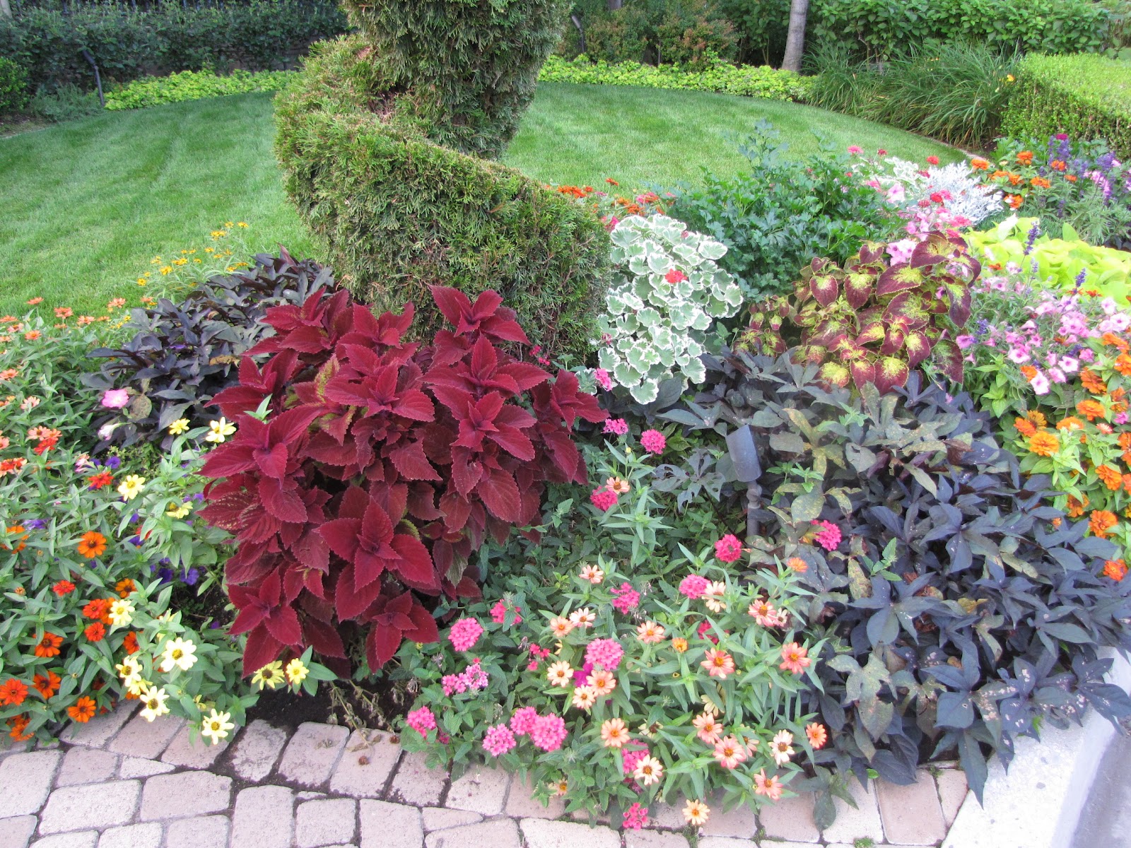 Russ' landscaping and gardening tips Let's talk summer annuals!
