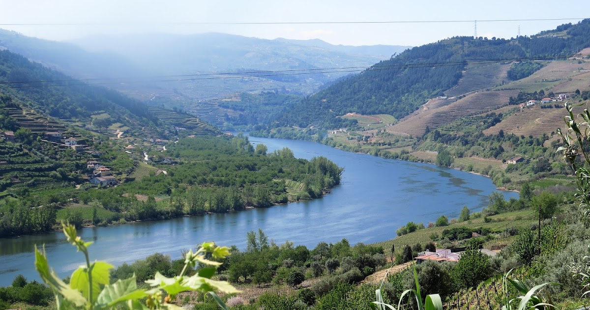 Tourist First Portugal Peso da Regua, Heart of the Douro Vinyards