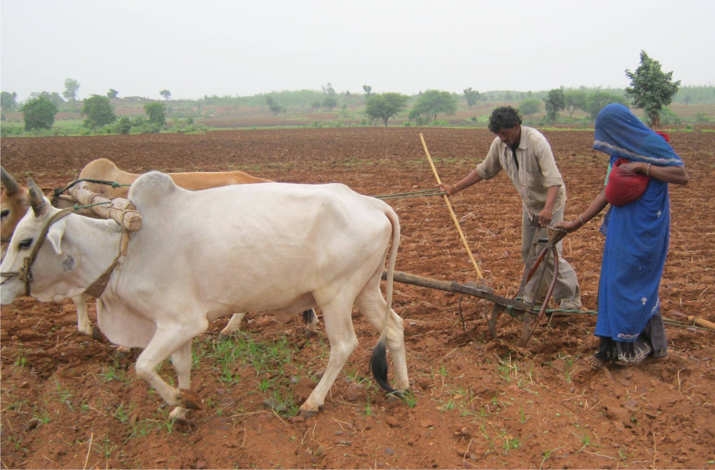 Rural Development Rural Development Approaches and Components