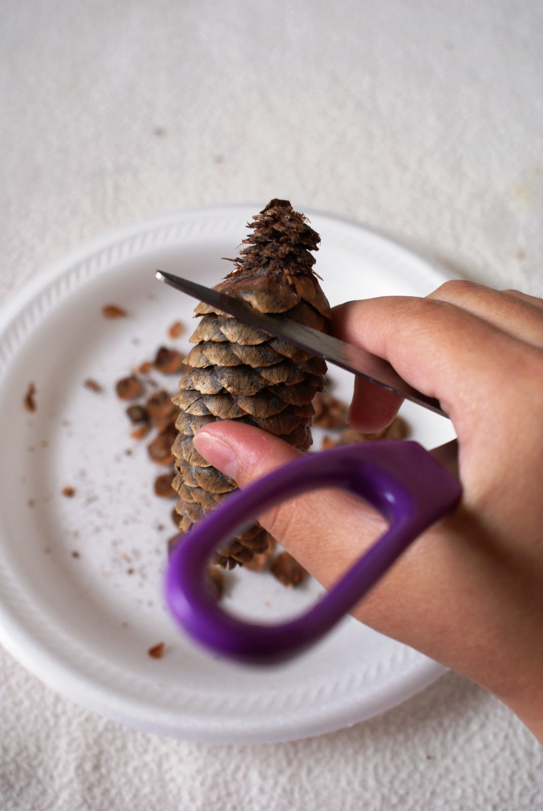 The Better Nester How To Make Pine Cone Flowers