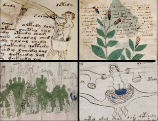 Il Manoscritto Voynich Il Manoscritto Voynich