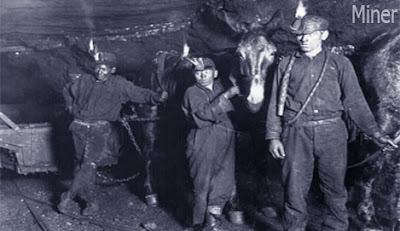 miner occupation 