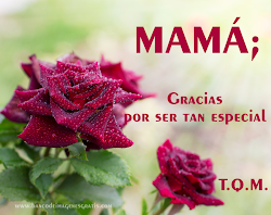 Imágene Experience: 6 postales hermosas y gratis para