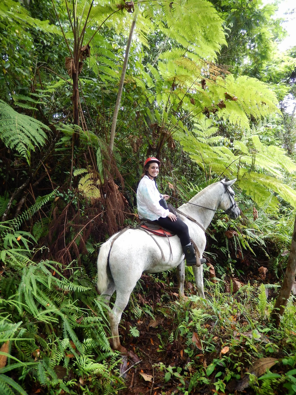 Carla's Got The Travel Bug Horse Back Riding In The Rainforest