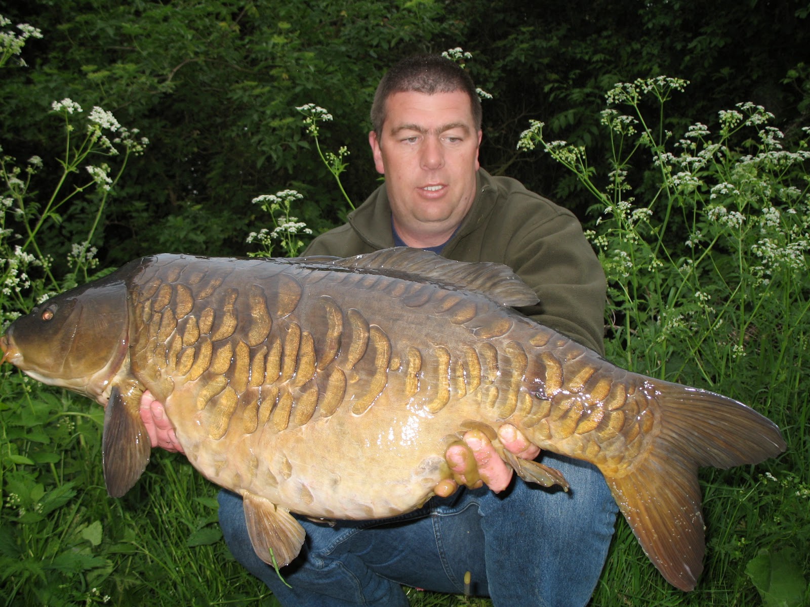 Anothe Long Reach stunner