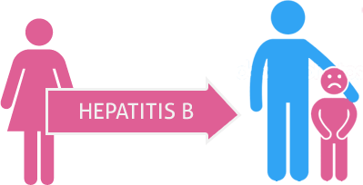 Prepare for Medical Exams : Hepatitis B and Pregnancy