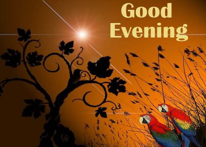 Happy evening картинки. открытки гуд ивнинг. Good evening only. гуд ивнинг. красивого вечера.