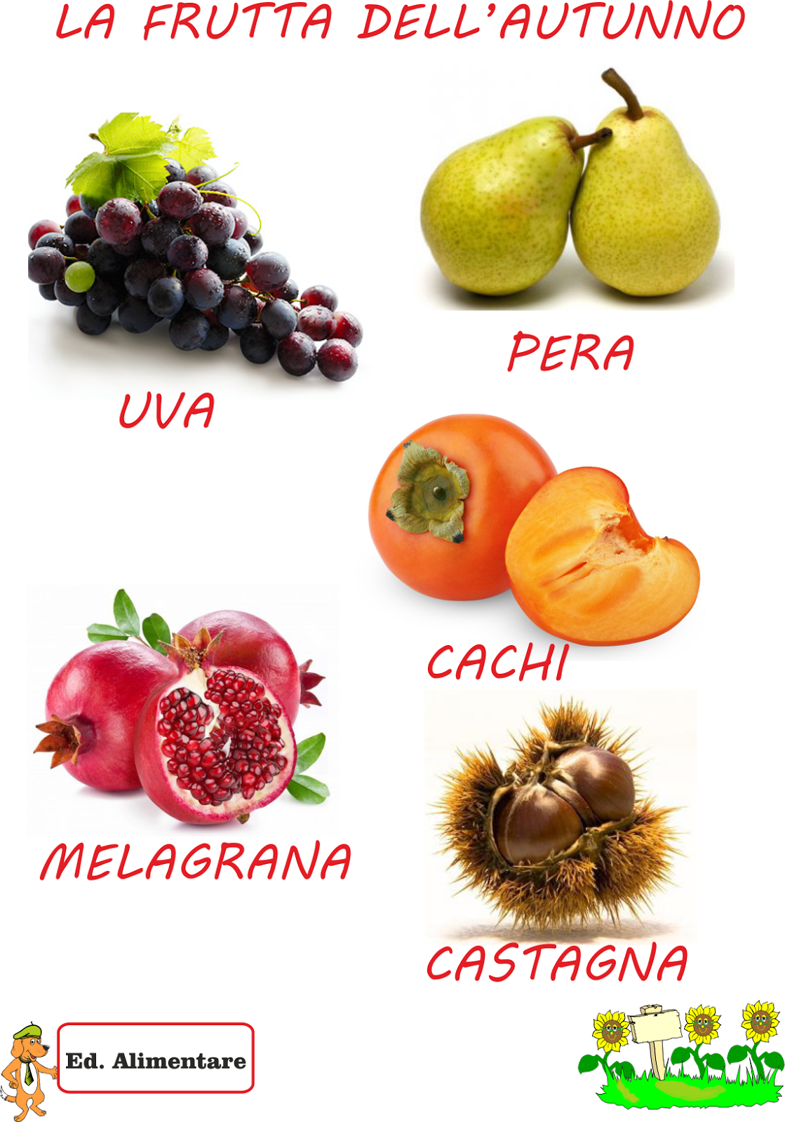 A Scuola con Poldo La frutta dell'autunno