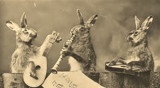 3 Rabbit Band